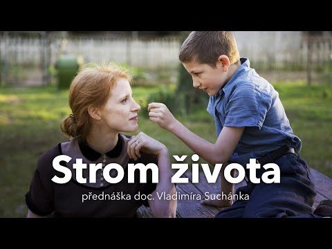 Video: Co symbolizuje strom života?