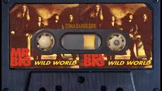 MR.BIG - wild world | story whatsapp