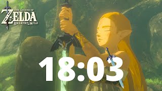 Breath of the Wild Early Master Sword in 18:03