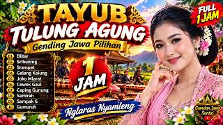 Download lagu TAYUB TULUNG AGUNG 1 JAM | Kumpulan Gending Jawa Pilihan - Blitar, Srampat & Joko Mlarat
