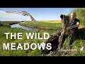 Uncovering the secrets of the wild meadow  wildlife photography