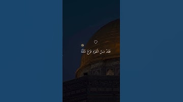 اللهم انصر اخواننا في فلسطين ♥️🇵🇸 ‏#quran #تلاوات قران_كريم #قرآن #ترند#تلاوات #طوفان_الأقصى