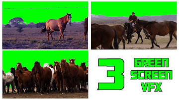 Horses Green Screen ⭐️ 3 FREE VFX