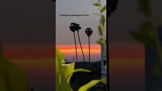 sunset #vijay #viral #cm #vijay #thalapathyvijay #thalapathy #cm #achuvlogs