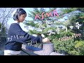 ASMR 耳かき棒で石をスクラッチング (コレクション)