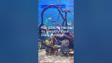 10 Life Hacks to Simplify Your Daily Routine