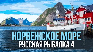 🟠🐠 Норвежское море фарм серебра с места и в троллинг 🐠🟠Рулетка для подписчиков🟠Р Р 4🟠#рр4, #rr4
