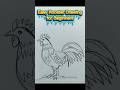 Easy Rooster Drawing for Beginners#trending #easydrawing #viralvideo#youtubeshorts #shorts #rooster