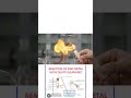 Reaction of Zinc Granules with Dilute Sulphuric Acid #chemistry #icse #10thcbse