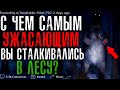 С ЧЕМ САМЫМ УЖАСАЮЩИМ ВЫ СТАЛКИВАЛИСЬ В ЛЕСУ? 🌲