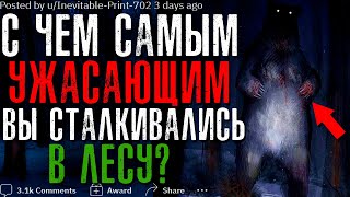 С ЧЕМ САМЫМ УЖАСАЮЩИМ ВЫ СТАЛКИВАЛИСЬ В ЛЕСУ? 🌲 #4