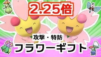 チェリム Youtube