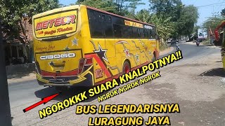 KNALPOT NYA CEMPRENG BANGET!!! LURAGUNG JAYA METEOR SAAT MUNDUR