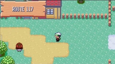 Route 117 to Verdanturf Town