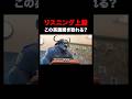 この英語聞き取れる？ズートピアリスニングクイズ！#zootopia #英語 #disney