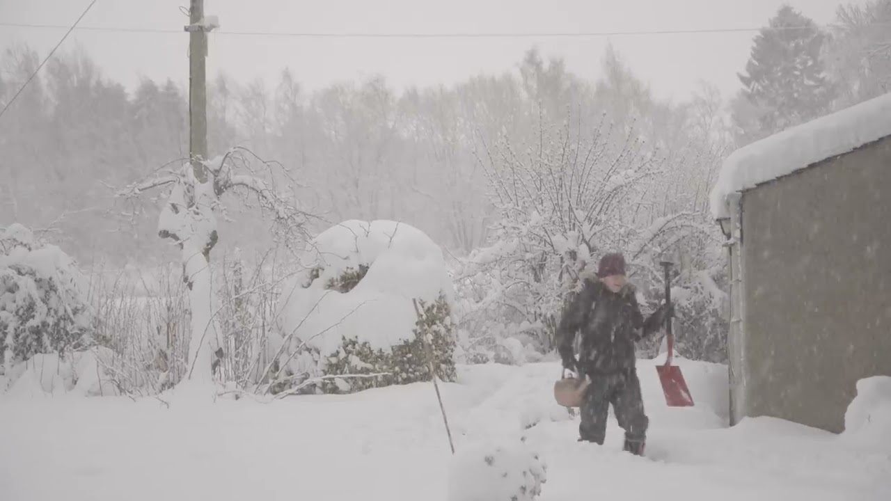 Snow fall in Aberdeenshire January 2026