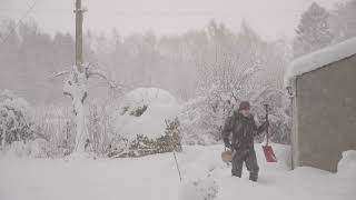 Snow Fall In Aberdeenshire January 2026