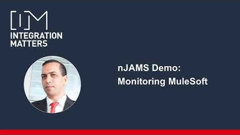 Monitoring MuleSoft Deployments with nJAMS