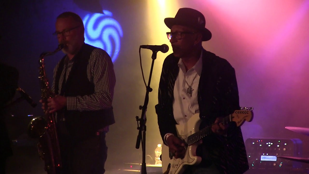 ''TIN PAN ALLEY'' THE 519 BAND Token Lounge, Nov 2019 YouTube
