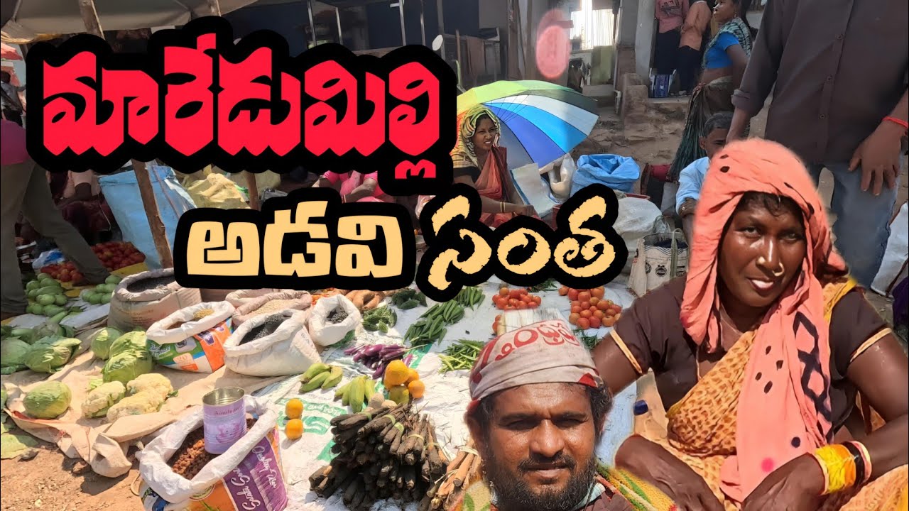 Hidden Tribal Market of Andhra Pradesh | Maredumilli Weekly Santha