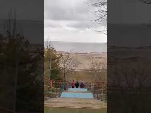 Фильмография лиман ниссан