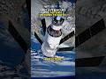 Only a few hours until Artemis 2 returns to Earth.