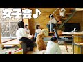 【大型犬1歳のいる生活#21】女子会の一員になっているゴールデンレトリバー