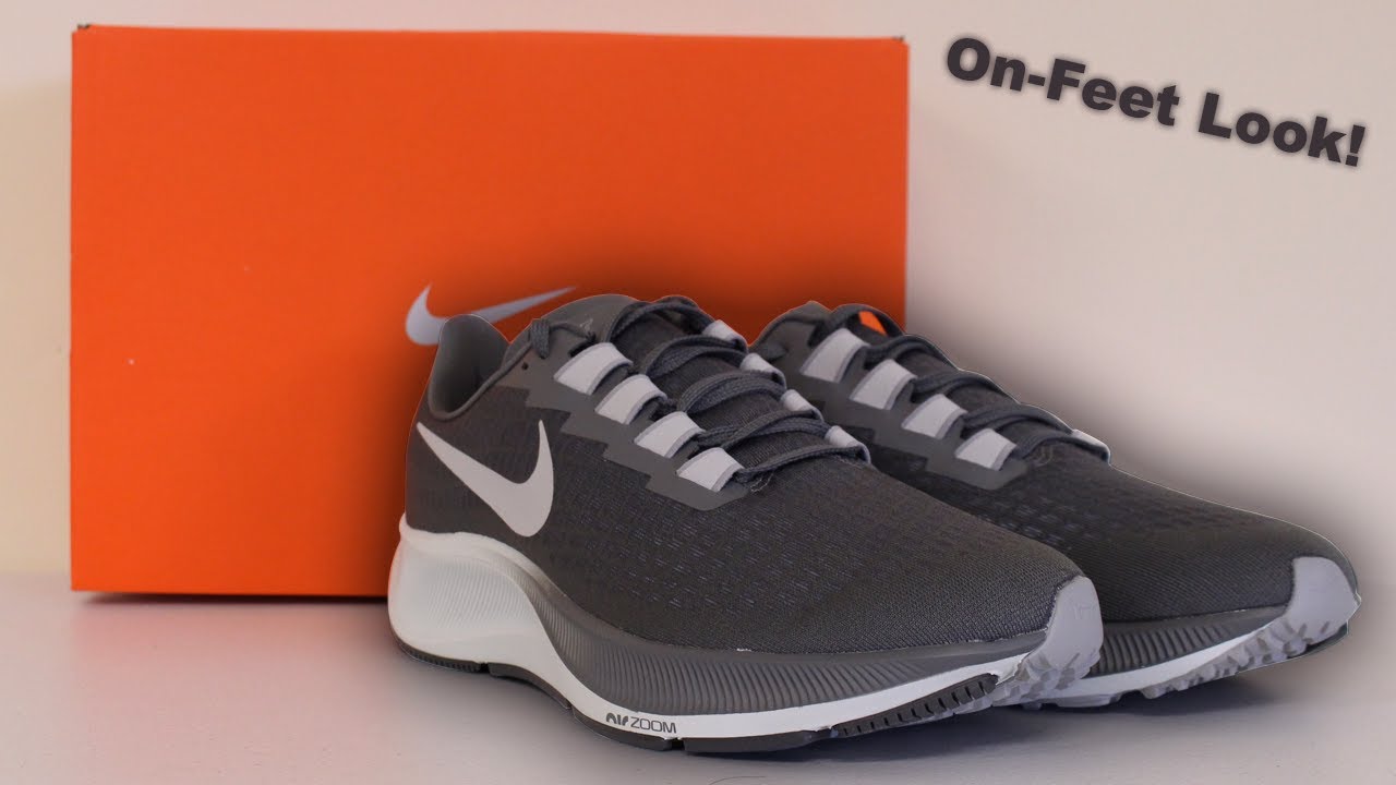 pegasus 37 grey