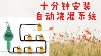 菜園 Youtube