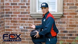 How To Get Rid Of Rodents | Fox Pest Control