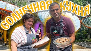 видео: ФОРЕЛЬ, приготовленная на солнечных лучах за 5 МИНУТ. Томленная ТЕЛЯТИНА в ВИНЕ.Дом МАЧАНЕНЦ.Часть 4 картинка: ФОРЕЛЬ, приготовленная на солнечных лучах за 5 МИНУТ. Томленная ТЕЛЯТИНА в ВИНЕ.Дом МАЧАНЕНЦ.Часть 4