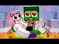 Monster School : Baby Hulk And Baby Husky - Sad Story - Minecraft Animation