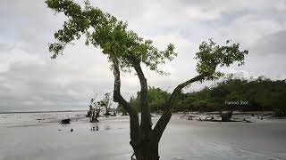 লেবুর চর, কুয়াকাটা, পটুয়াখালী।Lebur char sea beach,Kuakata,Patuakhali,  Details in description box..