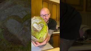 Green Loafs Are For Graduates