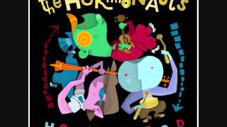 Watch Hormonauts Hormonized video