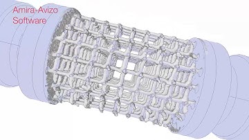 Avizo for Additive Manufacturing | Additively manufactured scaffold