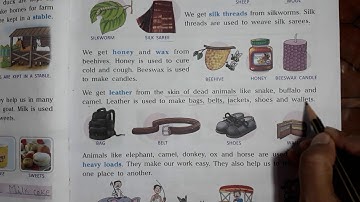 Class 2 Science { Ch-4 Animals- Our Friends ( Reading & Explanation Part -4)}