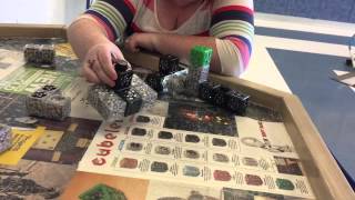 The Adelsey Collective and the Cubelets