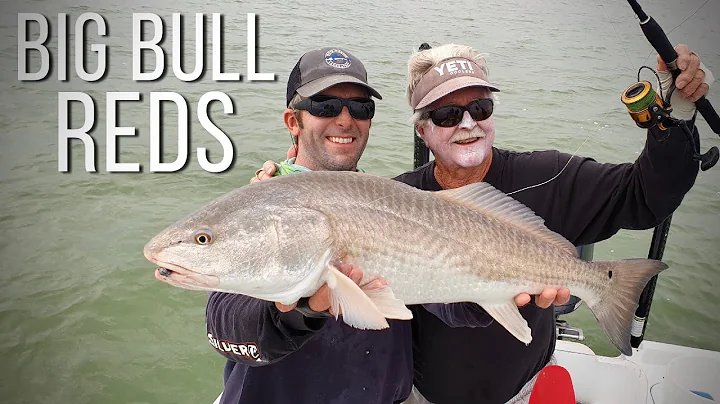 Everglades Fish on Steroids! - Bull Redfish, Massi...