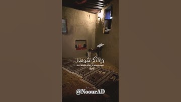 (وإذا ذُكرَ الله وحدهُ)#سورة_الزمر #قرآن #ماهر_المعيقلي #ارح_سمعك #اكسبلور #quran #2024 #shortvideo