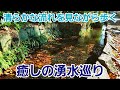 東京都内で湧水の清らかな流れに癒される！【武蔵小金井～国分寺】