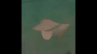 Drama:- Rudro Asbey Boley