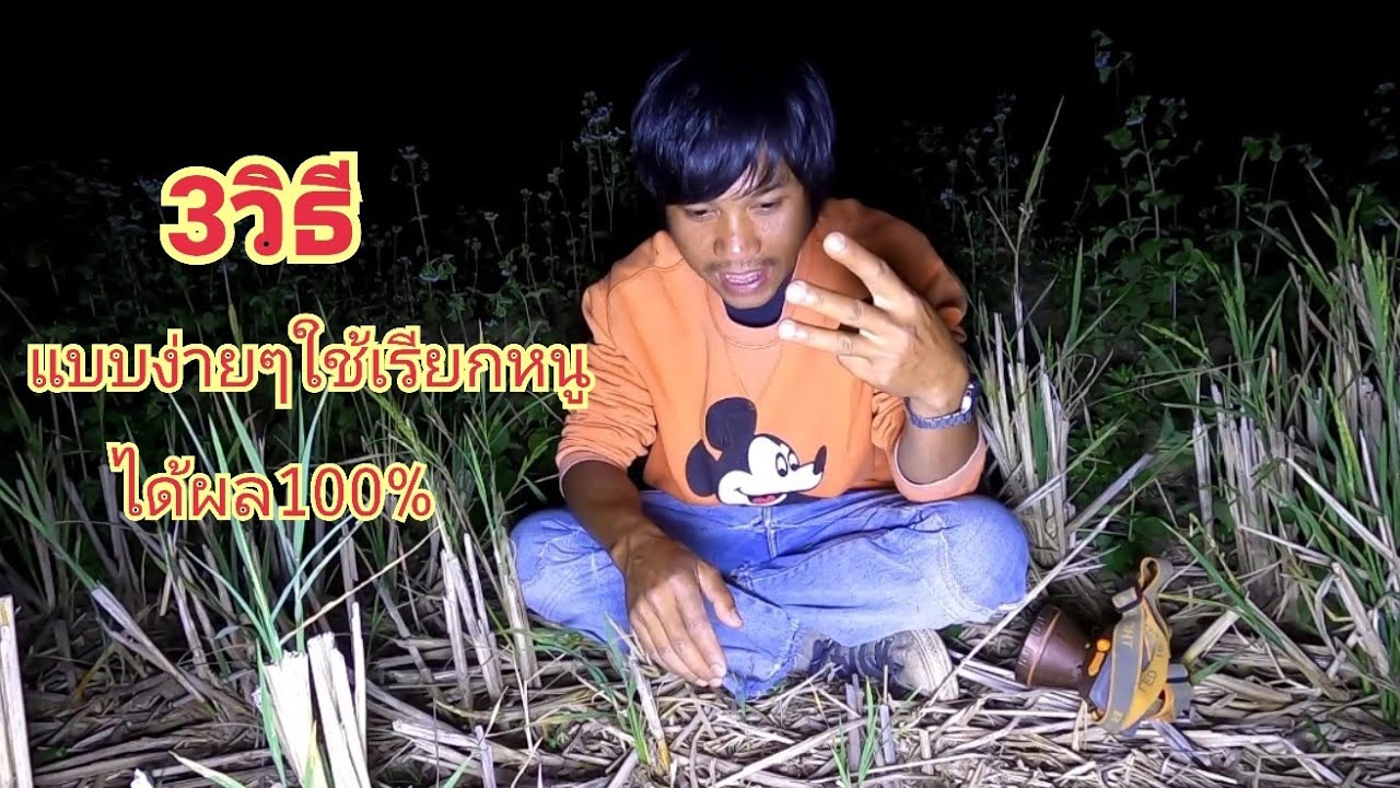 วิธีเรียนเสียงหนู 3วิธี - ต้อม คนทํามาหากิน