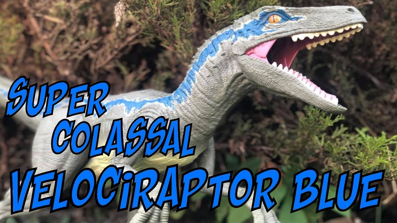Jurassic World Super Colossal Velociraptor Blue Unboxing And Review Youtube