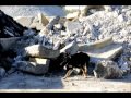 Disaster Dogs of Illinois Disaster Dogs of Illinois