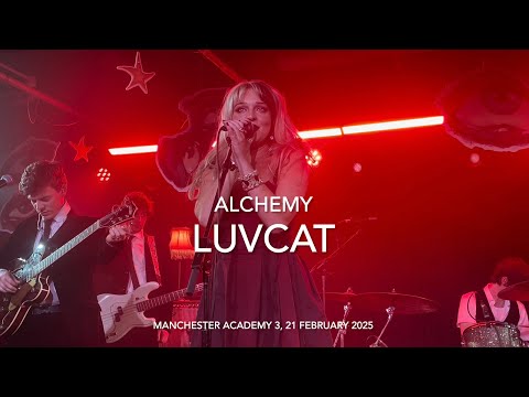 Luvcat - Alchemy - Live 4k @ Manchester Academy 3, 21 February 2025