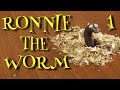 Ronnie the worm. First appearance. A Stop motion Animation