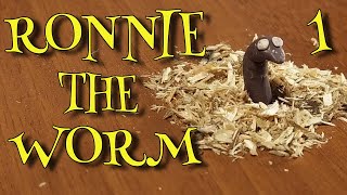 Ronnie the worm. First appearance. A Stop motion Animation