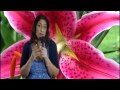 North Node in Gemini or 3rd House Astrology Series by Nadiya Shah