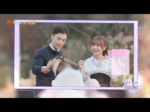 《女儿们的恋爱3》金莎盛况喂羊驼吃“自助餐” 可可爱爱的一群干饭羊！ Meeting Mr.Right S3 EP11【芒果TV心动频道】